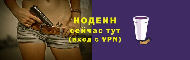 прущие грибы Балахна