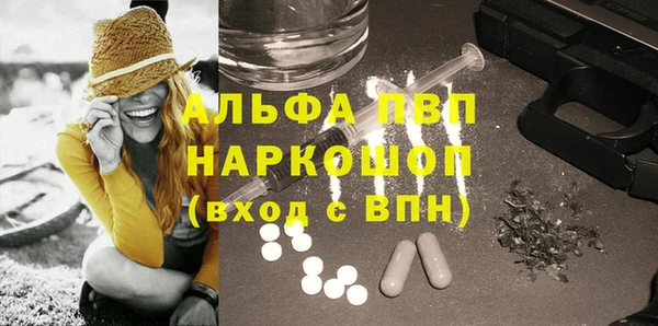 прущие грибы Балахна