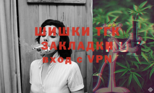 прущие грибы Балахна