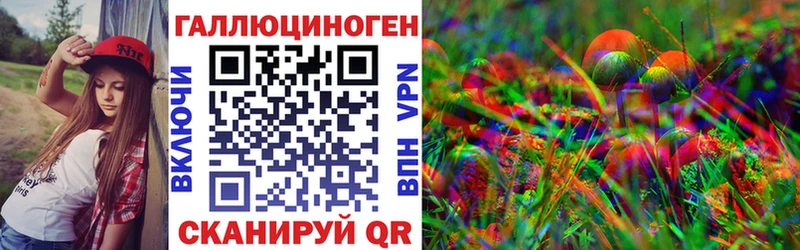 Псилоцибиновые грибы Psilocybine cubensis  Болхов 